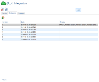 Asset Revisions